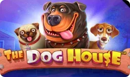 Rocketspin – The Dog House